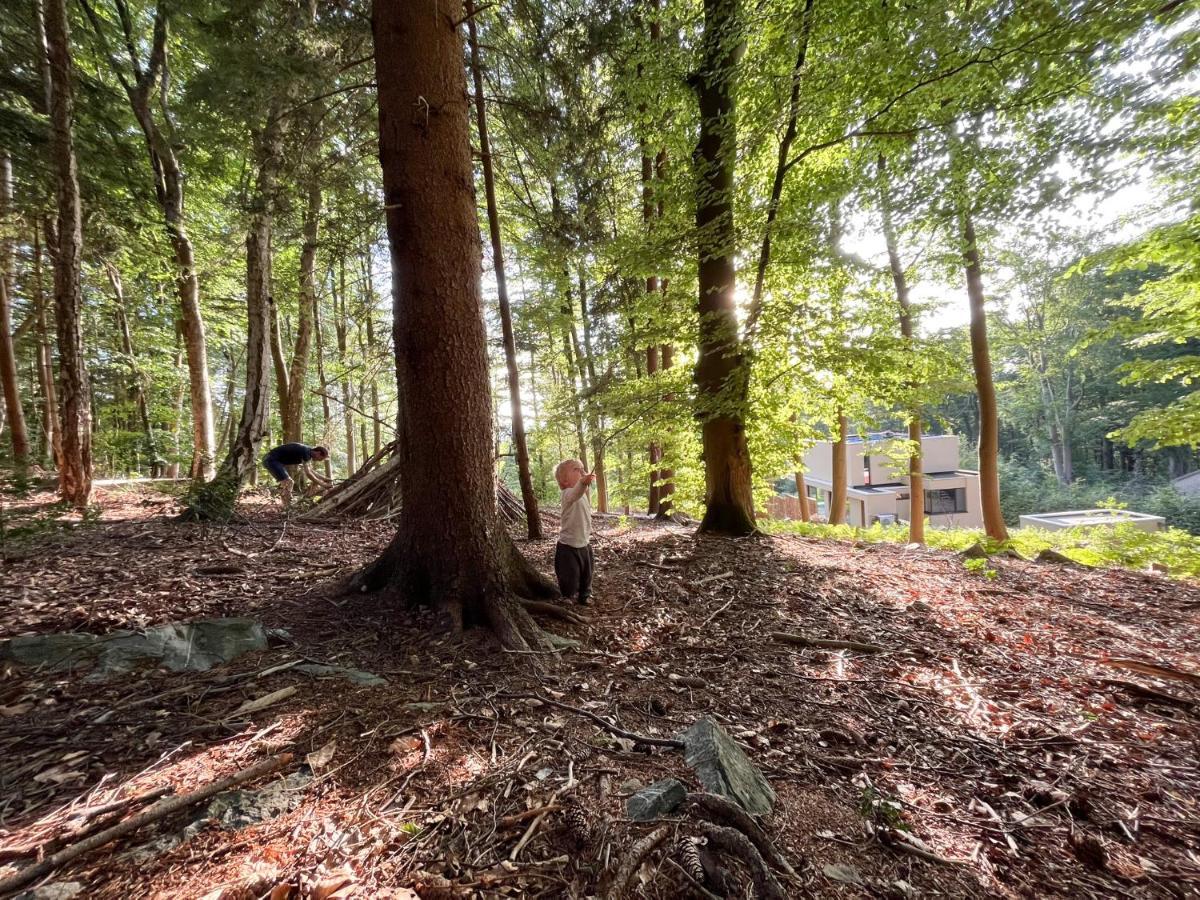 Gite Des Bois De Spa Exterior foto